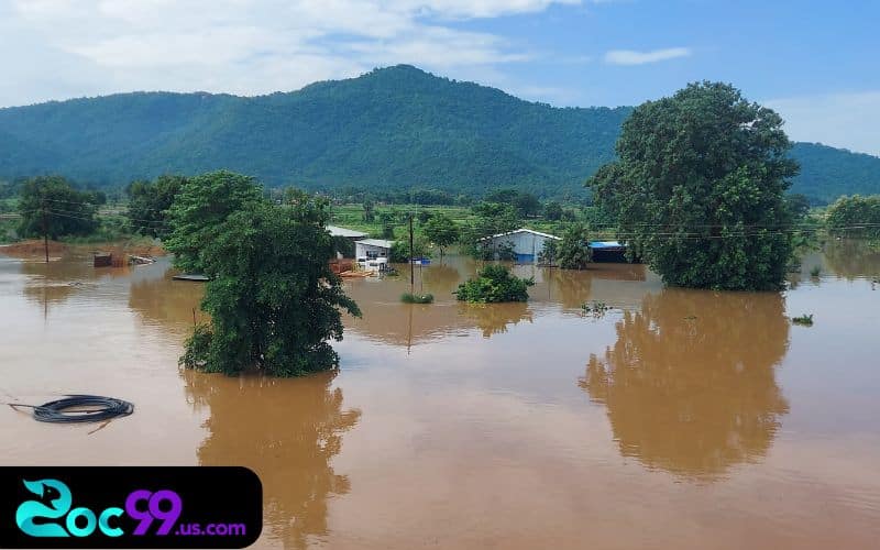 Nằm mơ thấy nước đánh số gì? Cơ hội đổi đời trong tầm tay 2 Khi nằm mơ thấy nước đánh số gì?