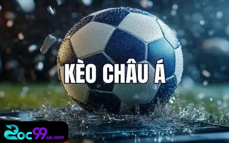 Cách cược bóng đá - Hướng dẫn chi tiết cho người mới bắt đầu 2 Nên phân biệt được các loại kèo trước khi tham gia cá độ