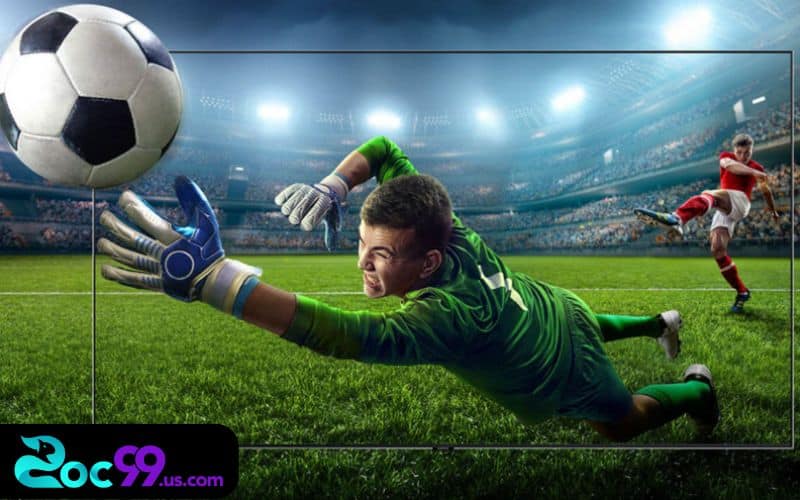 Các thuật ngữ cược bóng đá