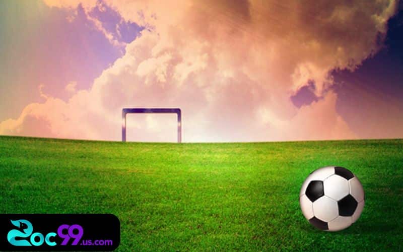 Kèo cỏ là gì trong cá độ? Tìm hiểu ngay để không bỏ lỡ 1 kèo cỏ là gì