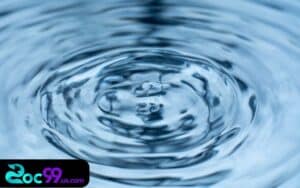 Nằm mơ thấy nước đánh số gì